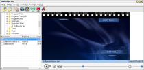 Flash Player Pro  6.0 poster
