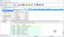 Portable Free Download Manager  3.9.7 Build 1638 image 2