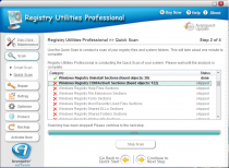 Registry Utilities Professional  3.0.12.13 image 1