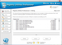 Registry Utilities Professional  3.0.12.13 image 2